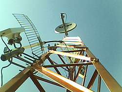 torre