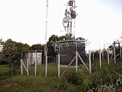 P1020453