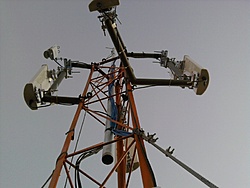 Photo 0035