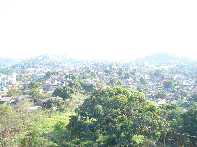 DSC00230