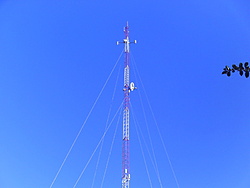 PICT0115