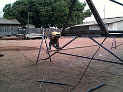 IMG 0374