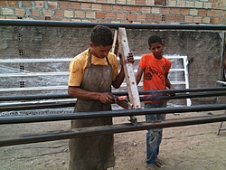 IMG 0379