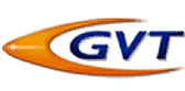 GVT