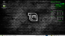 Linux Mint 10 Julia
