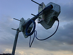 IMG00113 20100727 1646