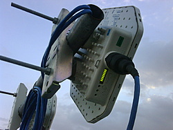 IMG00112 20100727 1646