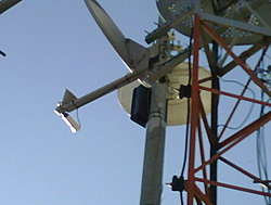 IMG00128 20100729 1529