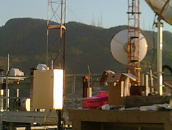 IMG00139 20100729 1701