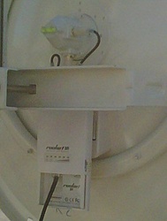 IMG00134 20100729 1600