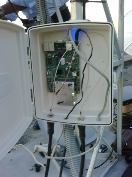 IMG00146 20100729 1723