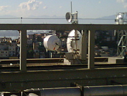 IMG00126 20100729 1526