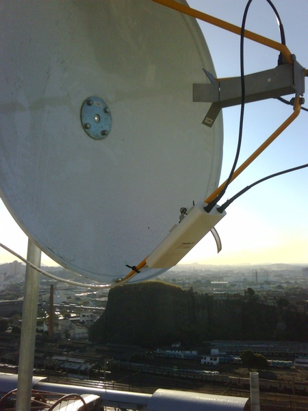 IMG00131 20100729 1543