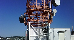 IMG00124 20100729 1525