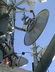 IMG00130 20100729 1541