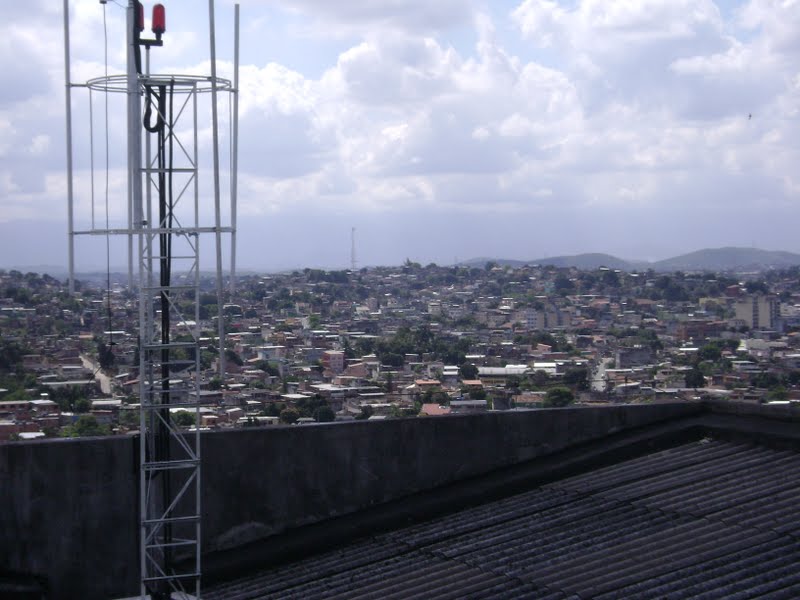 torre7