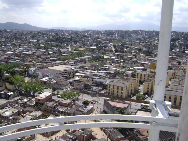 torre8