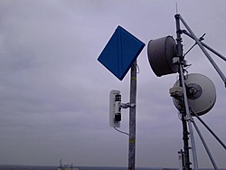 Photo 0010