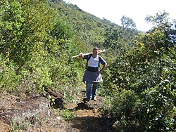serra1