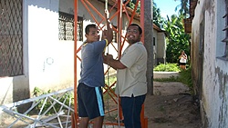 os papaleguas