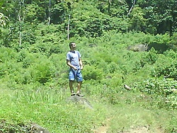 floresta