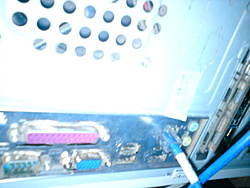 DSC02411