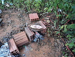 DSC00610