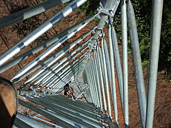 DSC00650