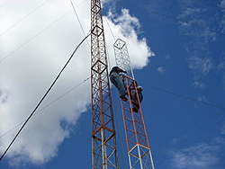 SDC13803
