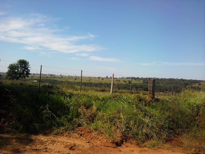 Foto0010