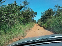 Foto0004
