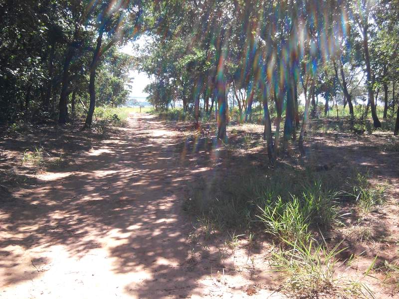 Foto0017