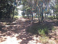 Foto0017
