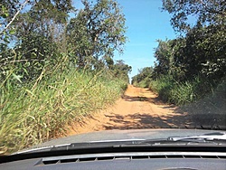 Foto0003