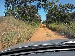 Foto0002