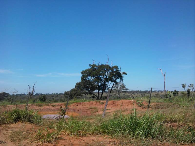 Foto0006