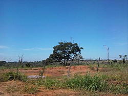 Foto0006