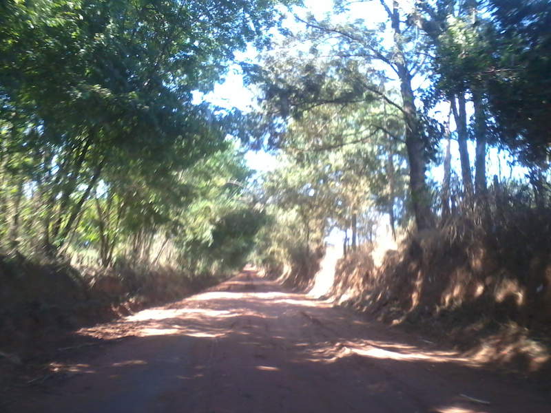 Foto0008