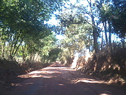 Foto0008