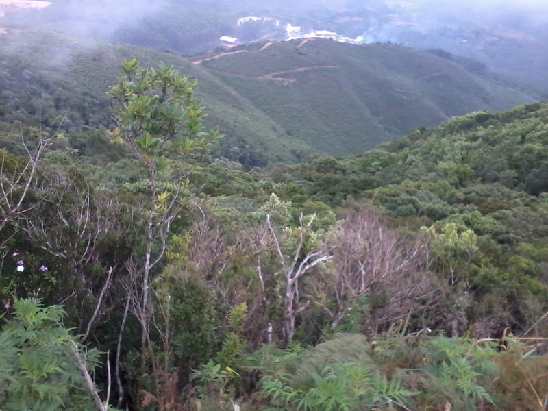 Foto0033