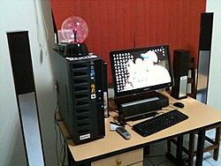 lugar predileto do meu filho...