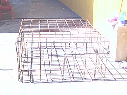 IMG0068A