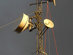 SDC10590
