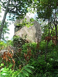 SAM 1790