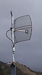 1002450s
