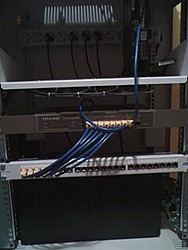sh1