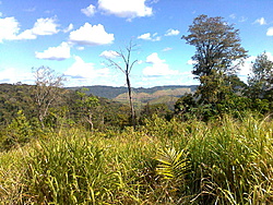 Foto0084