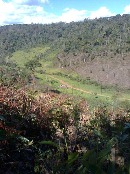 Foto0089