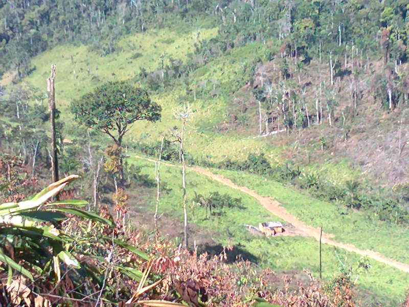 Foto0090