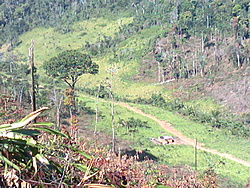 Foto0090